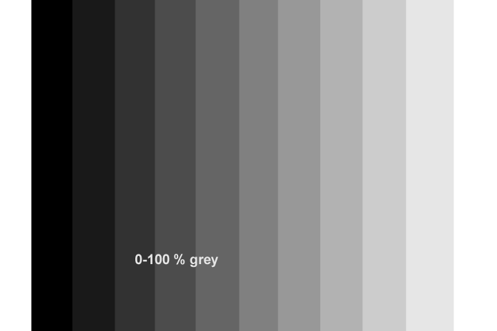 grey1.gif